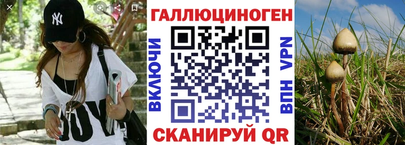 Псилоцибиновые грибы мицелий  Зверево 