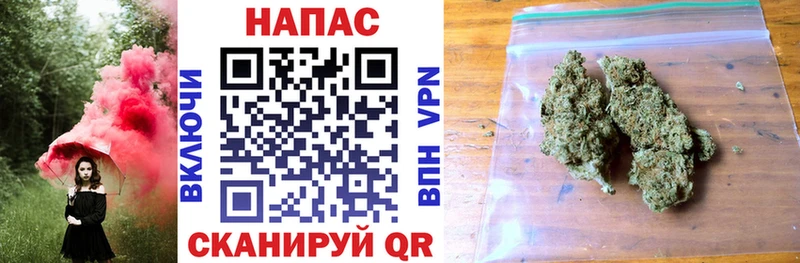 где купить наркоту  Зверево  Бошки Шишки SATIVA & INDICA 